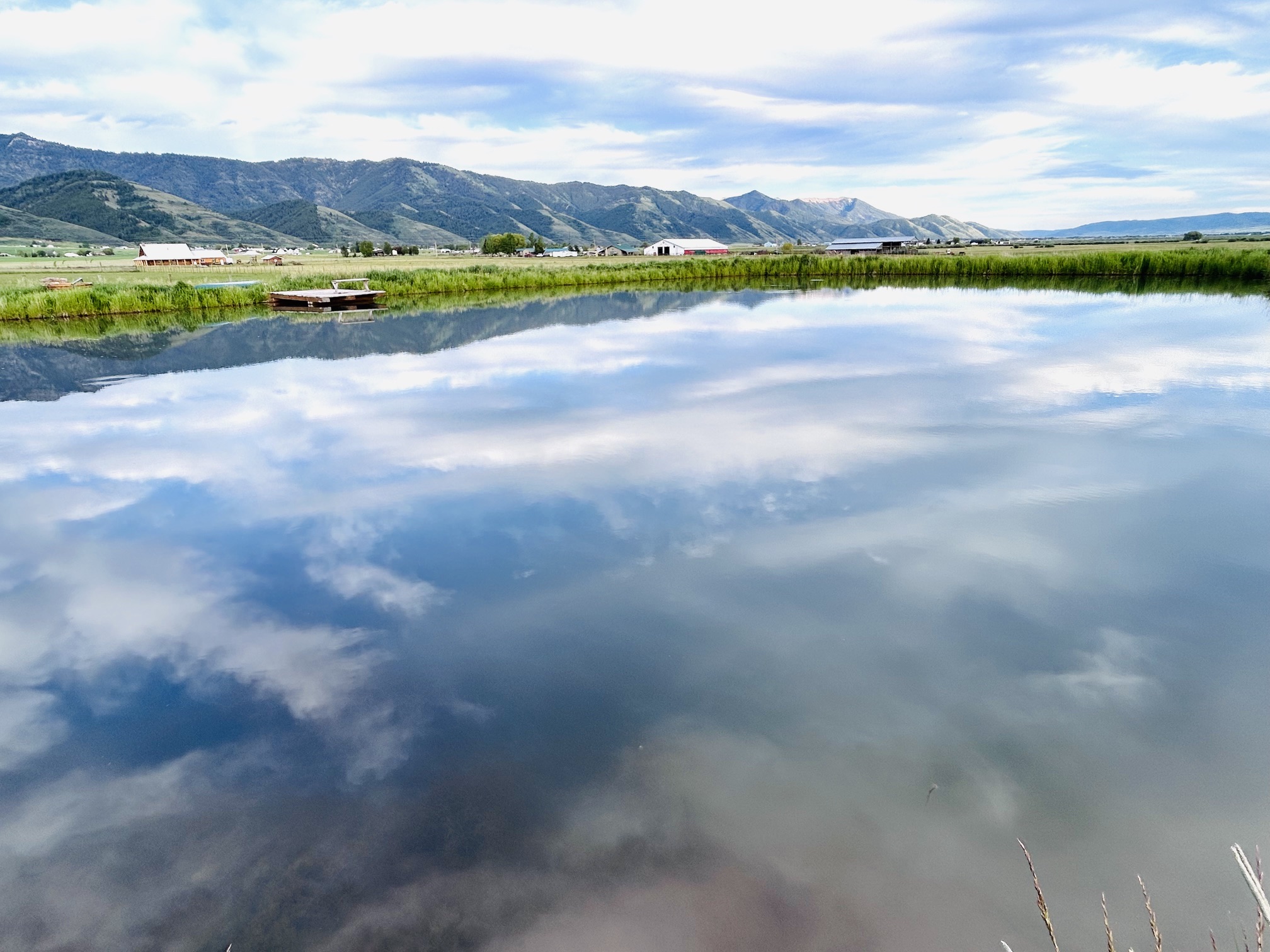 Constructed pond — three years after completion